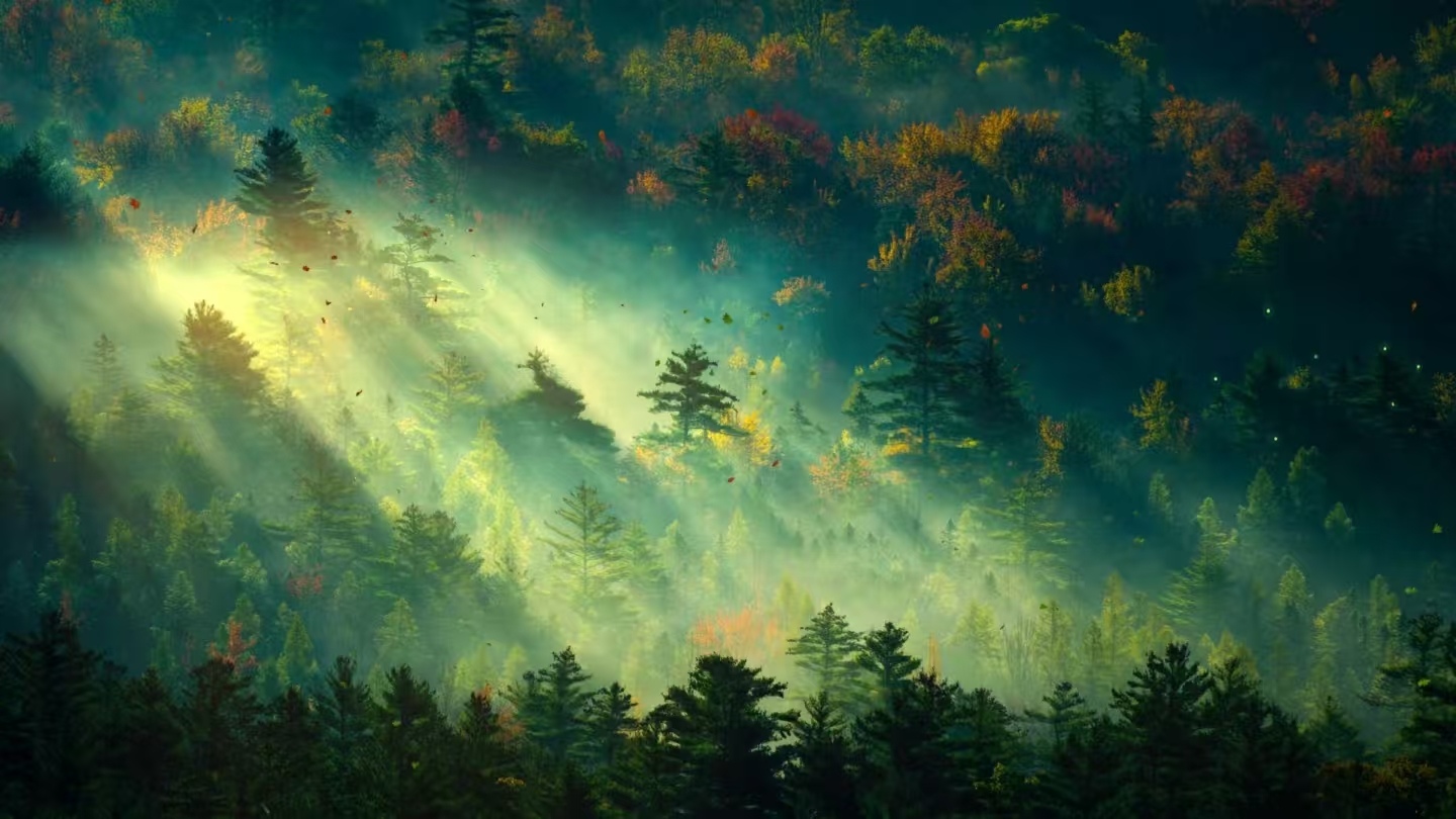 Desktop banner image 7